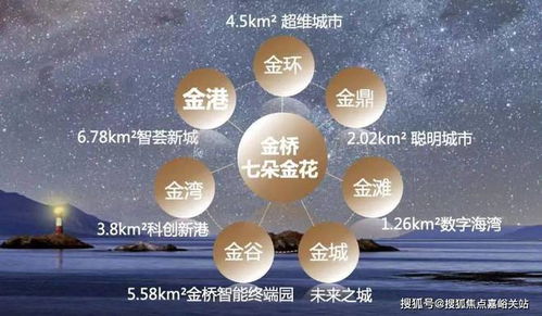 金港星海湾项目全解析 从户型价格到人工智能行业应用集成